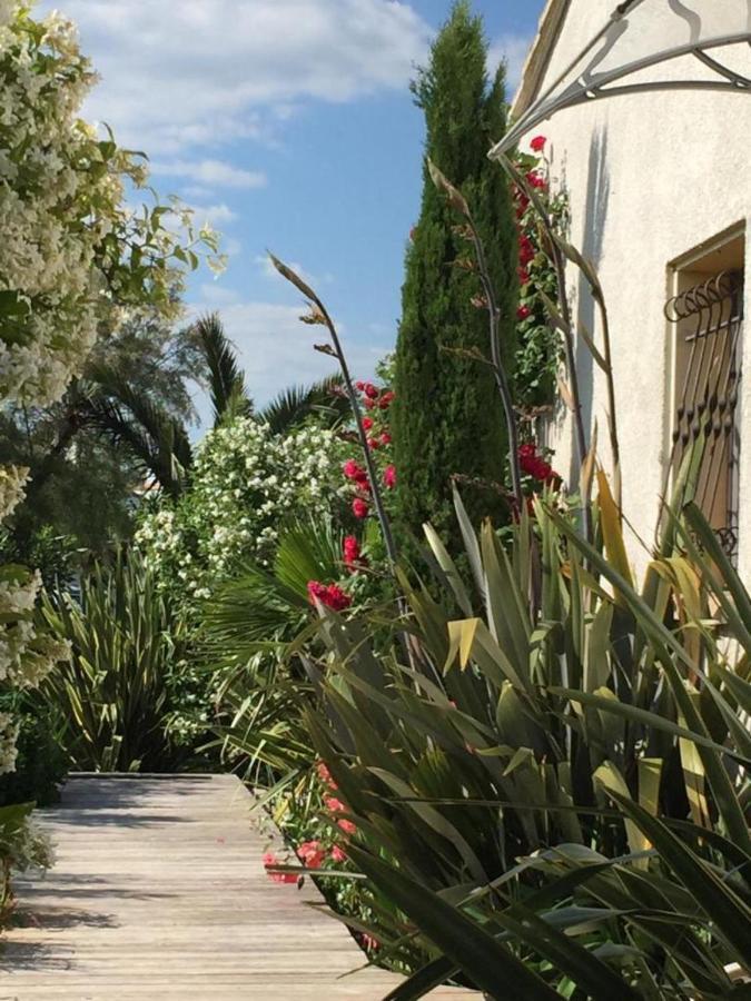 La Villa Vaihere En Camargue, L'Hibiscus Et Le Magnolia سانت ماري دو لا مير المظهر الخارجي الصورة