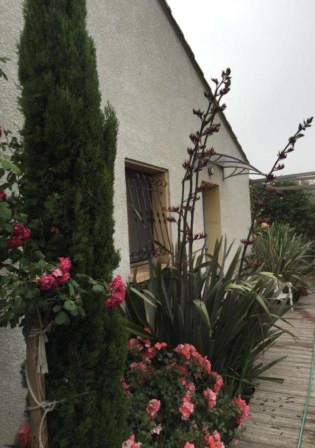 La Villa Vaihere En Camargue, L'Hibiscus Et Le Magnolia سانت ماري دو لا مير المظهر الخارجي الصورة