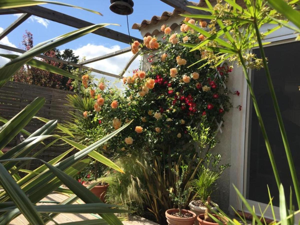 La Villa Vaihere En Camargue, L'Hibiscus Et Le Magnolia سانت ماري دو لا مير المظهر الخارجي الصورة